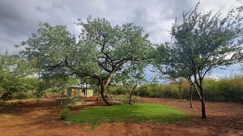 Natural landscape