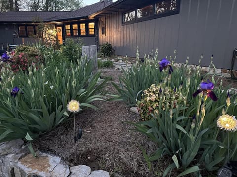 Smokey Vista Lodge House in Tennessee