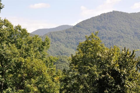 Changes in Altitude House in Bryson City