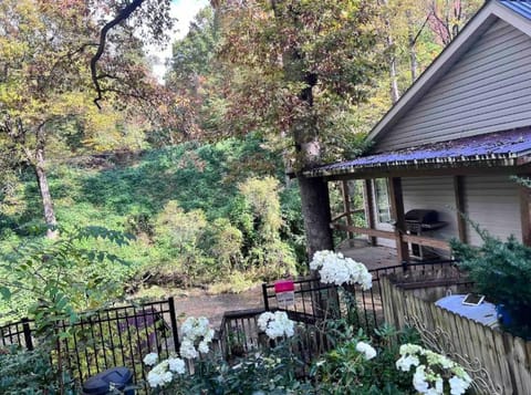 Moonshine Creek Too House in Swain County