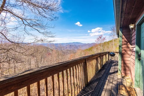 Black Forest Cottage House in Stecoah