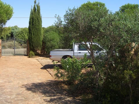 Garden, Garden, Area and facilities