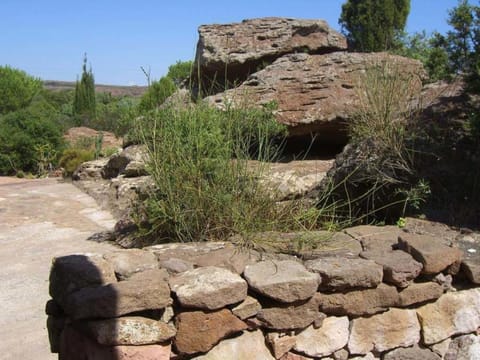 Garden, Decorative detail