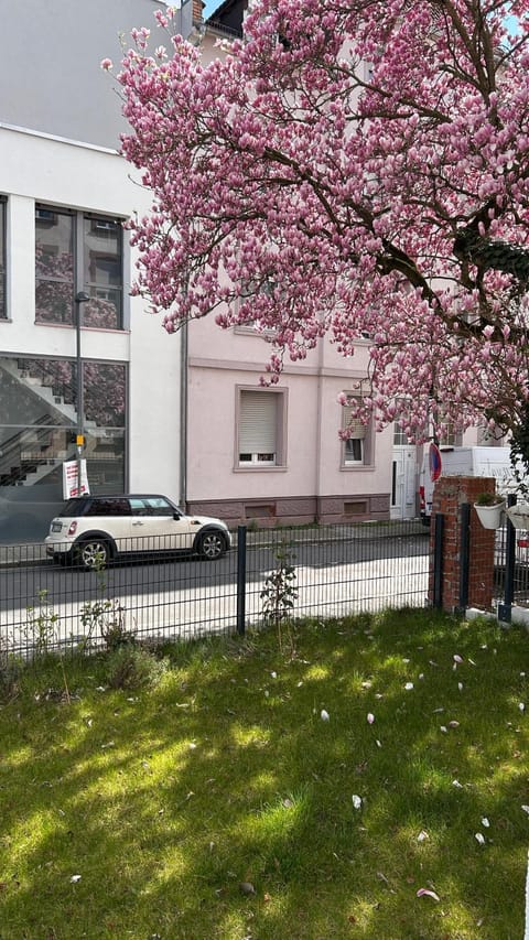 Spring, Garden, Garden view