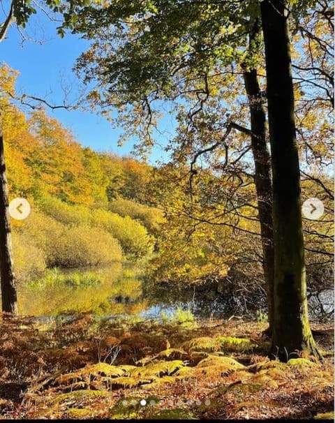 Gatekeepers house House in Zealand
