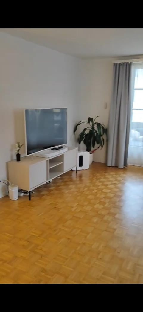 Spacious Cozy House for Groups & Families 2 Floors & free parking House in Winterthur