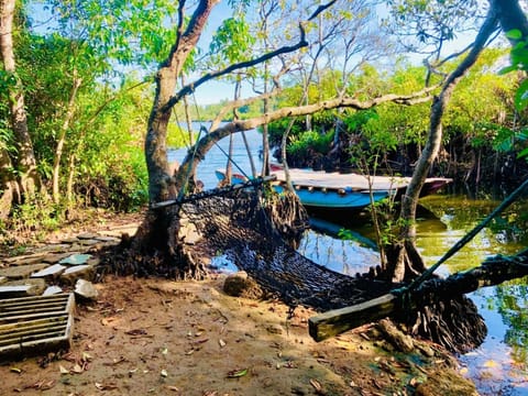 Natural landscape