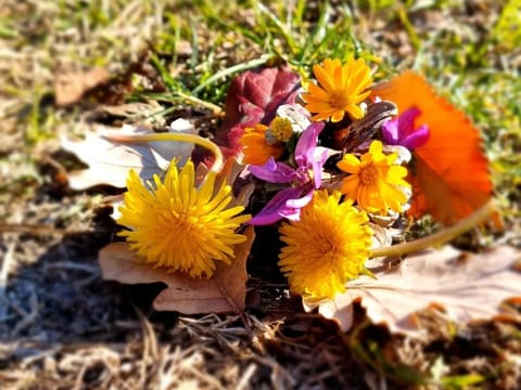 CasaLeaPacentro Apartment in Molise, Italy
