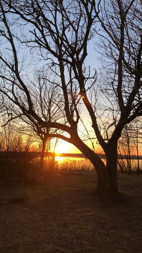 Naturlig Ro Bed and Breakfast in Aalborg