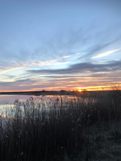 Naturlig Ro Bed and Breakfast in Aalborg