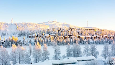 Natural landscape, Winter