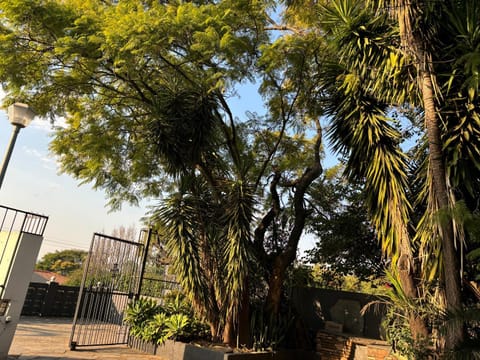 Spring, Day, Garden, Garden view