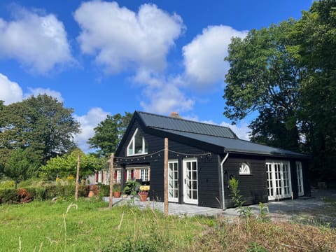 Property building, Summer, Garden