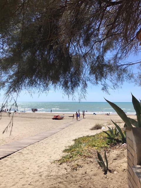 Natural landscape, Beach