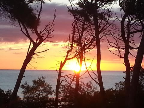 Beach, Sea view, Sea view, Sunrise