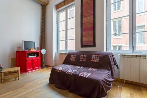 beau canut à côté du gros cailloux Apartment in Lyon