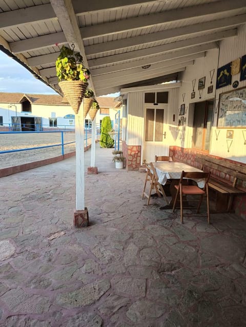 Property building, Day, Horse-riding