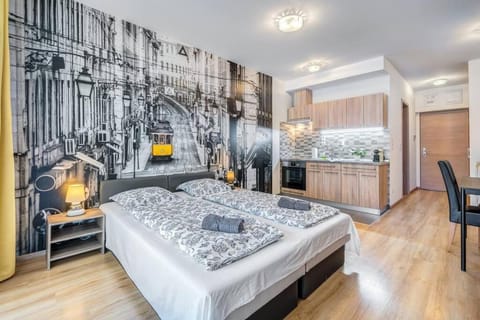 Kitchen or kitchenette, Bedroom
