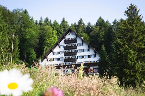 Property building, Day, Natural landscape, Garden, Garden view