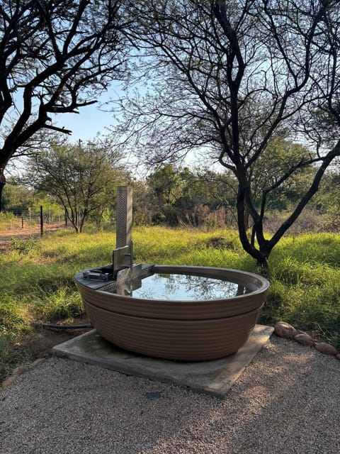 Hot Tub, Hot Tub, Garden view