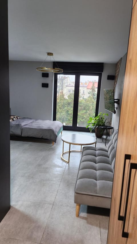 Your time in Heart of Cracow , Gym & free parking Apartment in Krakow