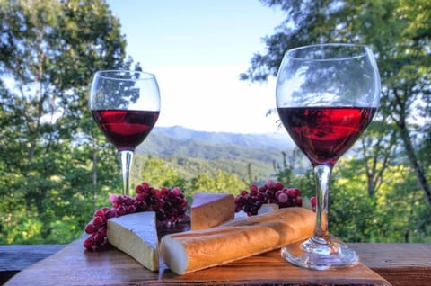 Goldies Hideaway House in Swain County