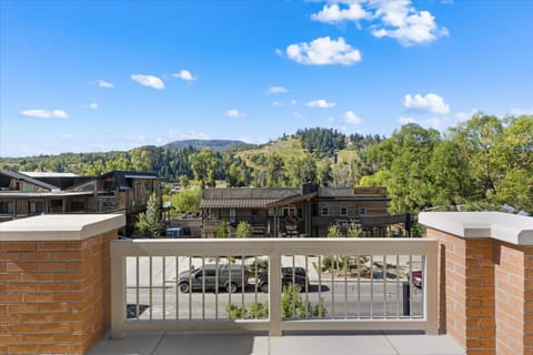 Sleek Mountain Retreat - Downtown - Summer AC House in Steamboat Springs