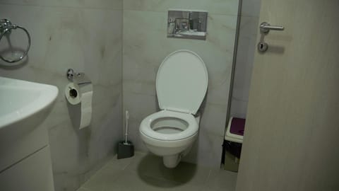 Sova apartman 2 Apartment in Zlatibor District, Serbia