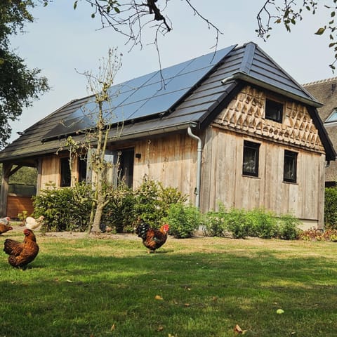Property building, Day, Garden