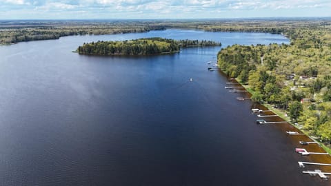 Loon Lodge - Lakefront with Private Dock! House in Oscoda Township