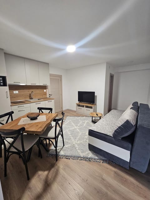 Apartment Anita Cetinje Apartment in Montenegro