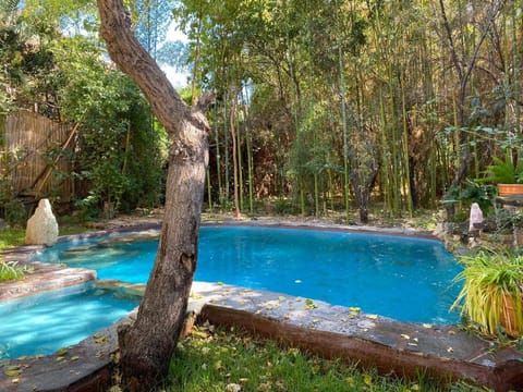 Swimming pool