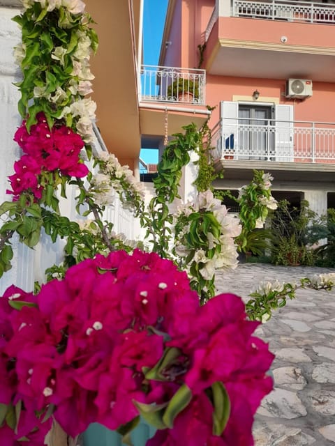 Property building, Day, Garden