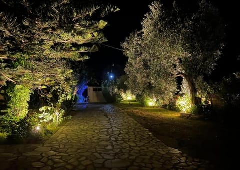 Night, Natural landscape, Garden
