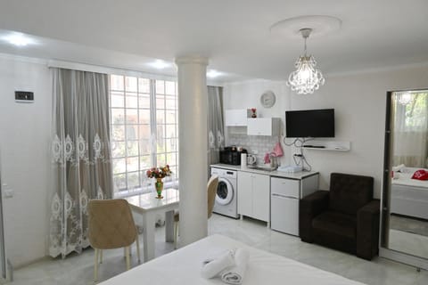 Bed, TV and multimedia, Kitchen or kitchenette, Living room, Photo of the whole room, Seating area, Dining area, Bedroom, minibar, towels, air conditioner