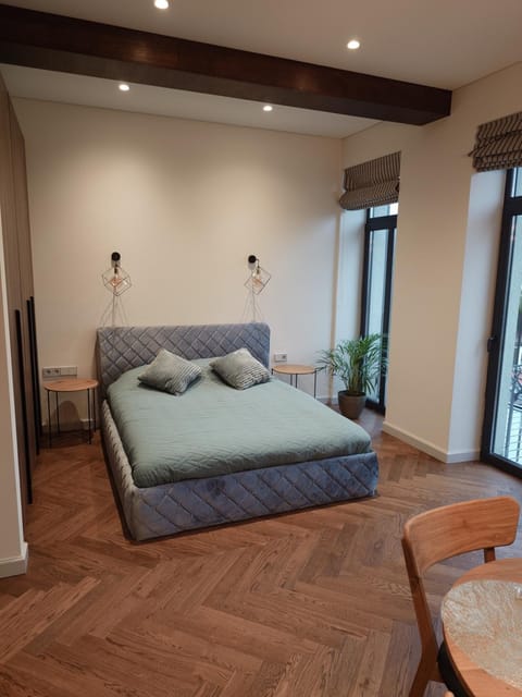 Studio Nemuno 27 Apartment in Lithuania