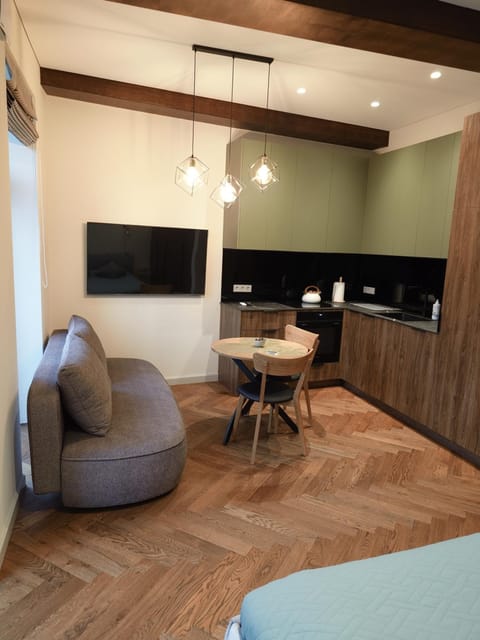 Studio Nemuno 27 Apartment in Lithuania