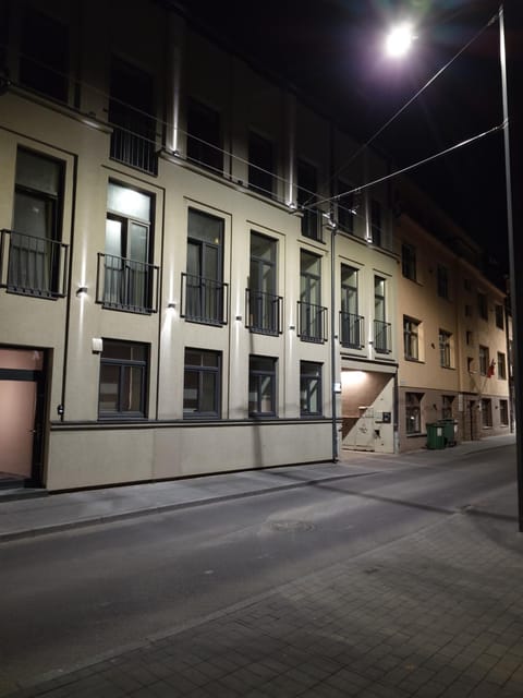 Studio Nemuno 27 Apartment in Lithuania