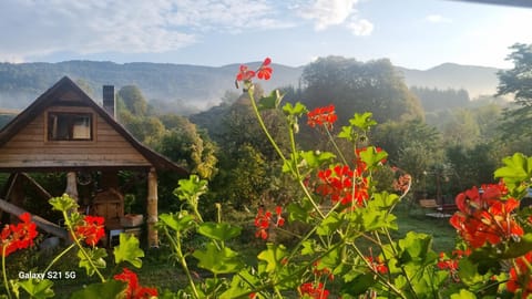 Garden, Garden view