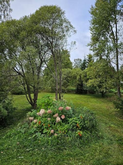 Mummonmökki Meri-Porista Apartment in Finland