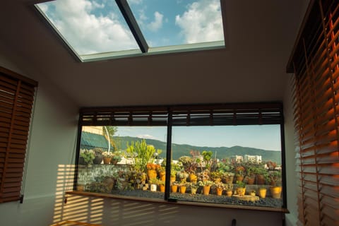Day, Natural landscape, View (from property/room), Balcony/Terrace, Mountain view