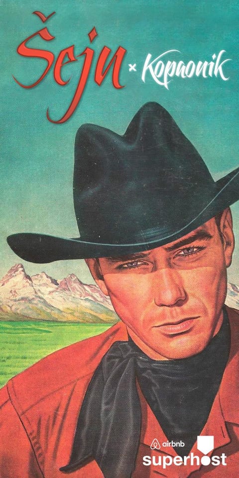 Guesthouse Šejn House in Serbia