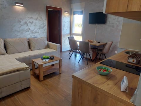 Apartman DIVČI TRON 11 Apartment in Zlatibor District, Serbia