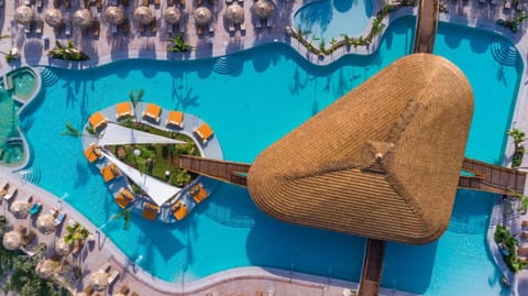 Bird's eye view, Swimming pool, Swimming pool