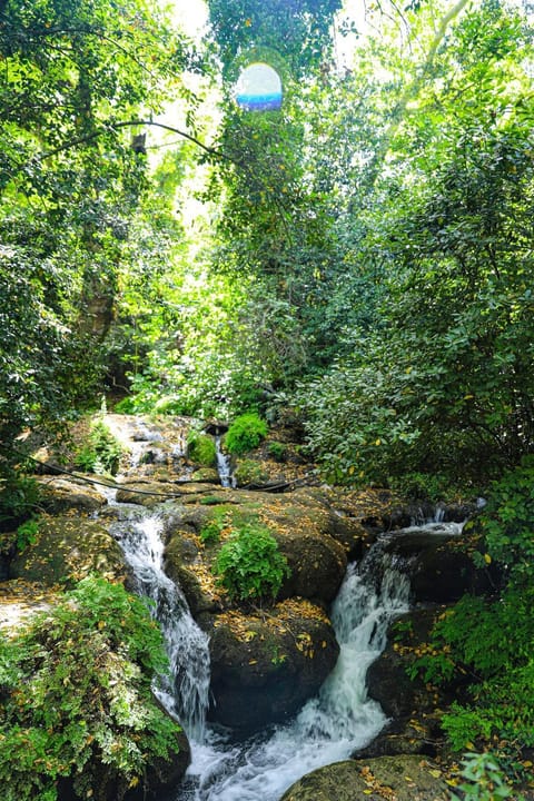 Natural landscape