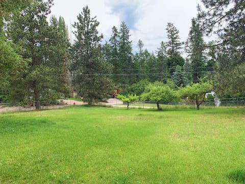 Woods Bay Chalet Chalet in Woods Bay