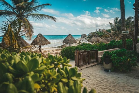 Day, Garden, Beach, Garden view, Sea view
