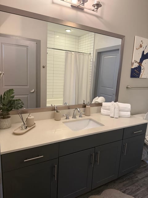 Large Buckhead modern suite Apartment in Buckhead