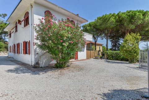 Property building, Spring, Garden, Garden view
