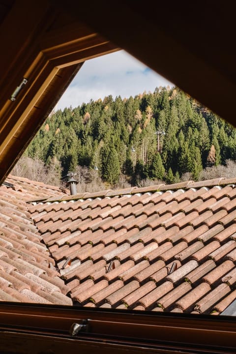 Natural landscape, Skiing, Mountain view
